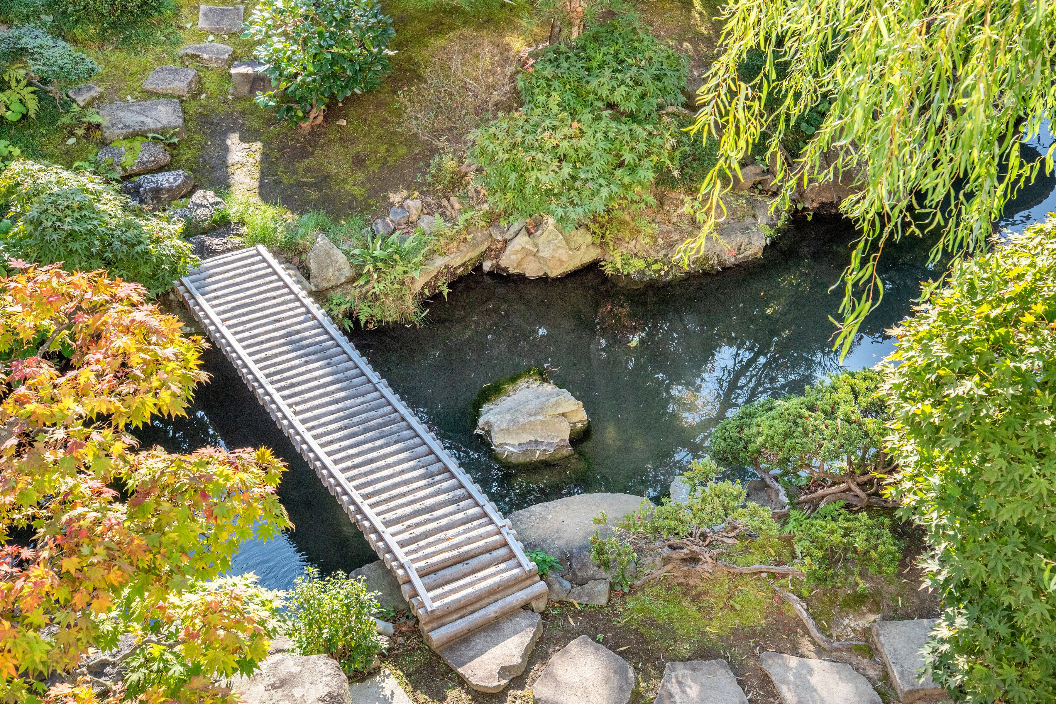 Jardin