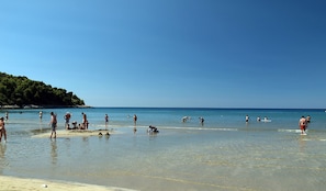 Beach nearby, beach umbrellas, windsurfing, beach volleyball - House Baglija (Lumbarda)