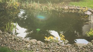 A serene garden with a pond, surrounded by lush greenery and a traditional building. - Das Fritz Hotel (Schwerin)