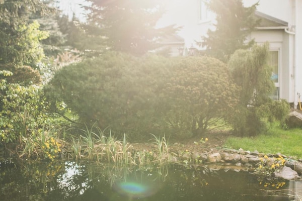 Overnatningsstedets område