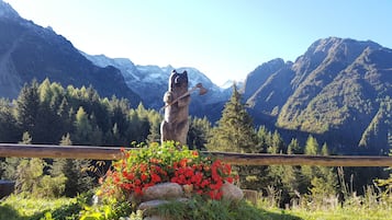 Vistas a la montaña