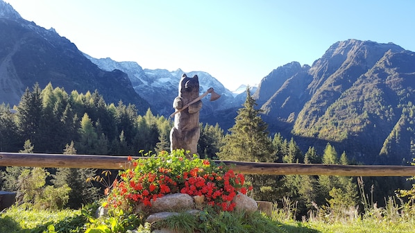 Vue sur les montagnes