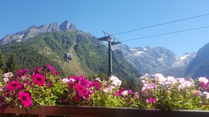 A mountain landscape with a cable car and vibrant flowers in the foreground. - Hotel La Roccia (Ponte di Legno)