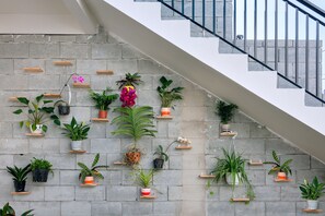 施設からの眺望