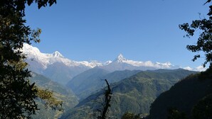 A mountainous landscape with snow-capped peaks and dense forest. - Kalsee Ecolodge (Lumle)