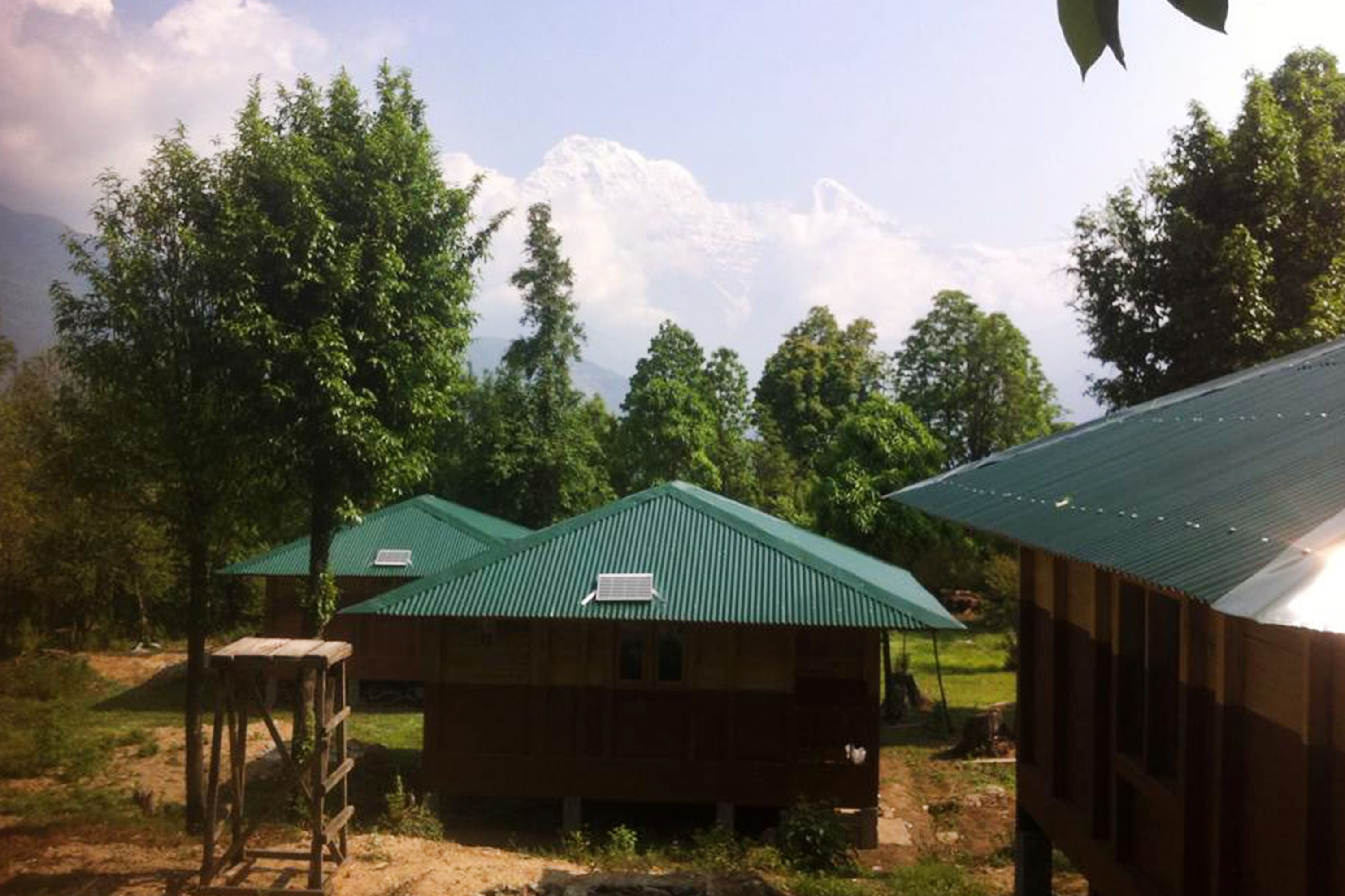 A rustic cabin with a green roof, surrounded by trees and a mountain backdrop.