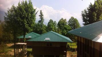 A rustic cabin with a green roof, surrounded by trees and a mountain backdrop.