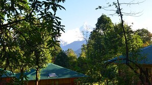 A rustic lodge with a green metal roof, surrounded by lush greenery and a mountain in the background. - Kalsee Ecolodge (Lumle)