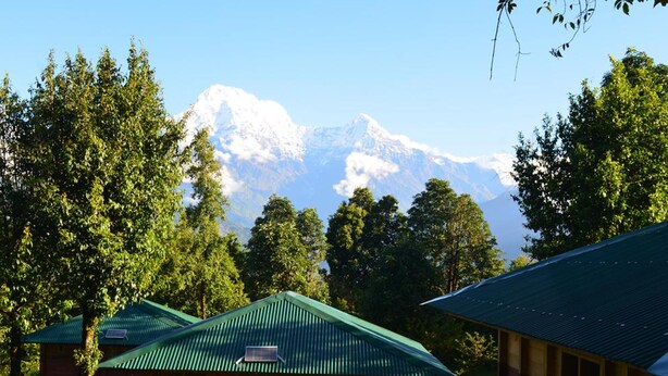 A cabin with a green roof, surrounded by trees and a mountain in the background. - Kalsee Ecolodge (Lumle)