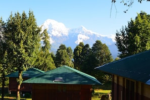 A cabin with a green roof, surrounded by trees and a mountain in the background. - Kalsee Ecolodge (Lumle)