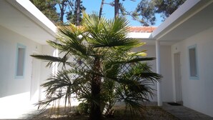 A courtyard with a palm tree, white walls, and a tiled roof. - le Hameau de l'Océan (Saint-Hilaire-de-Riez)