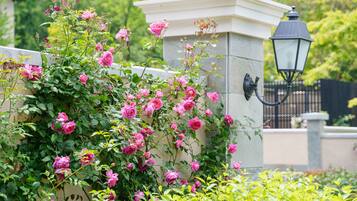 Een tuin met roze rozen die een muur beklimmen, een wit gebouw en een zwarte lantaarnpaal.