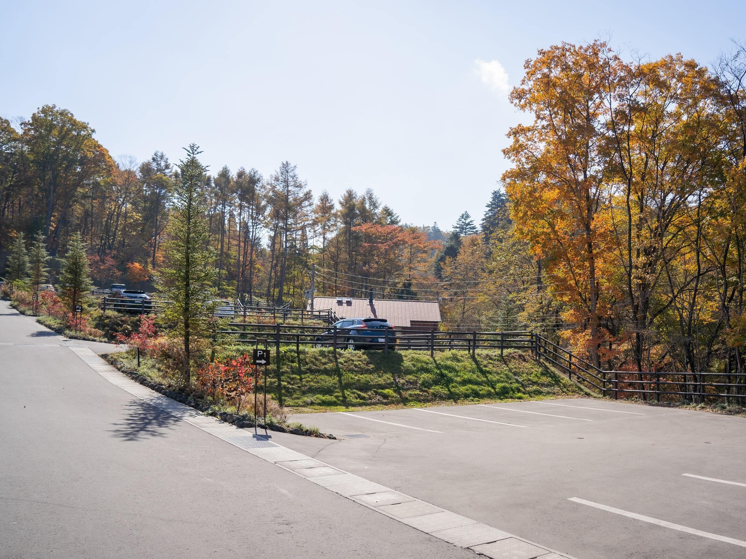 A parking lot with a paved road, a fence, and trees with autumn foliage.