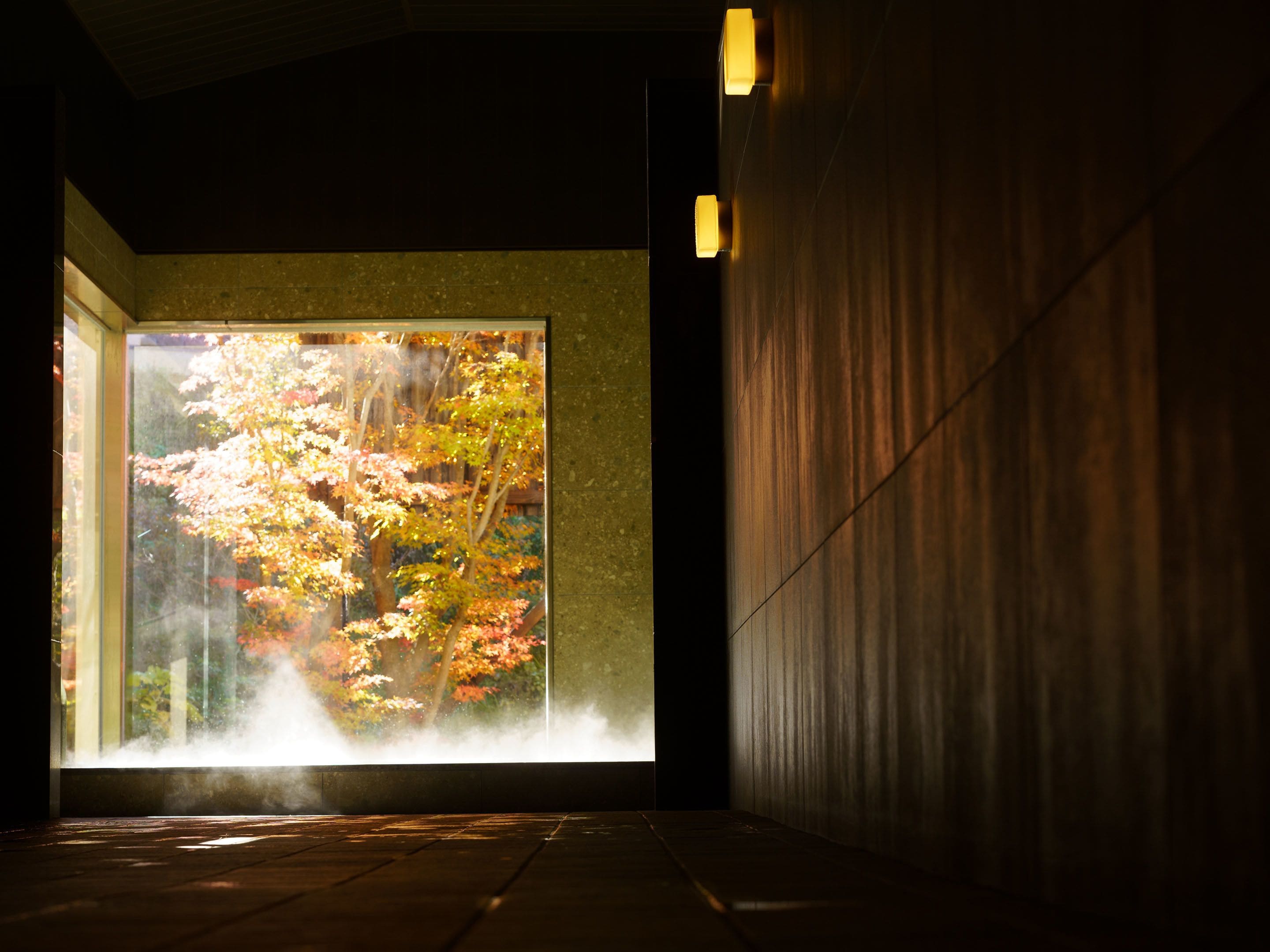 A corridor with a large window displaying autumn foliage.
