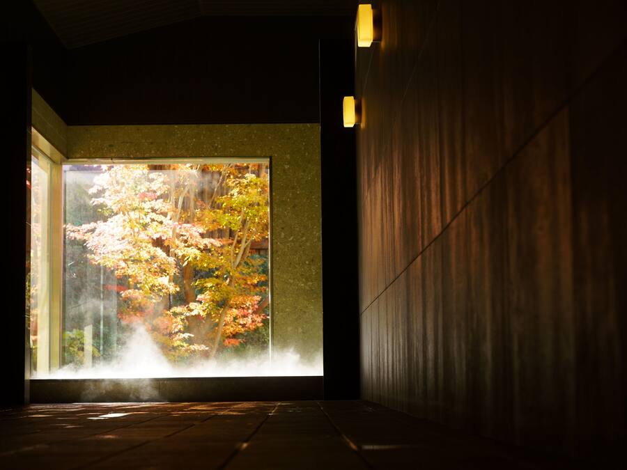 A corridor with a large window displaying autumn foliage.