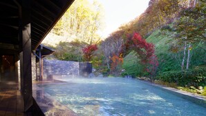 A clear pool with a stone deck, surrounded by a wooden deck and a stone wall. - Le Grand Karuizawa Hotel&Resort (Karuizawa)