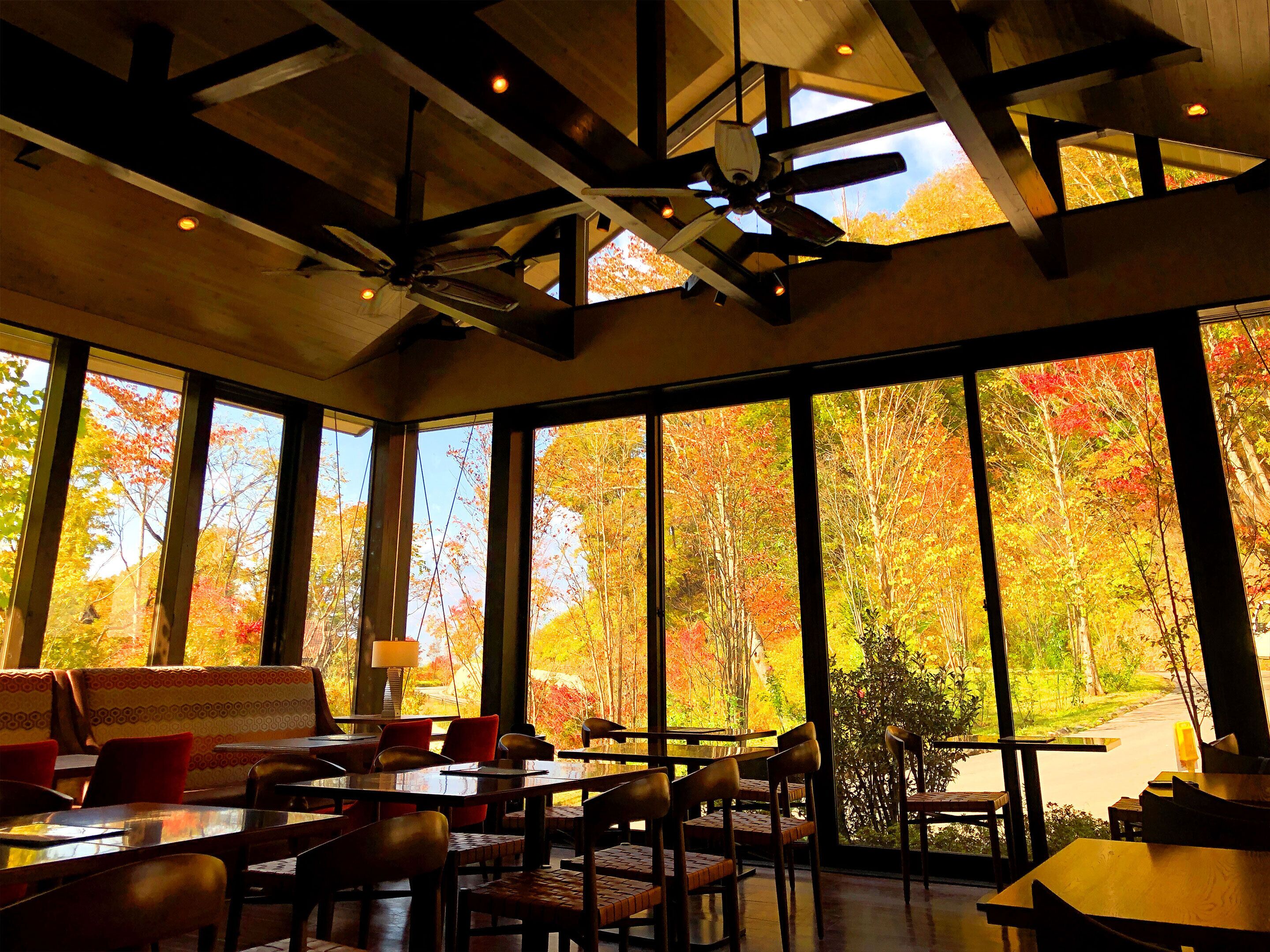 Un restaurant doté de grandes fenêtres qui offrent une vue sur les couleurs automnales du feuillage.