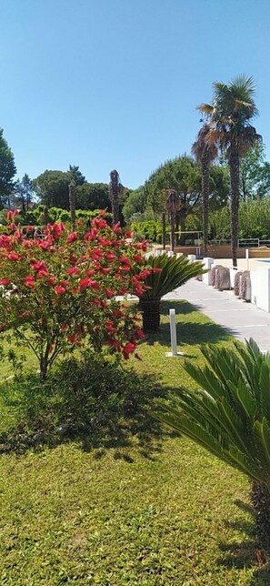 Garden view - Villaggio Camping Costa d'Argento (San Vito Chietino)