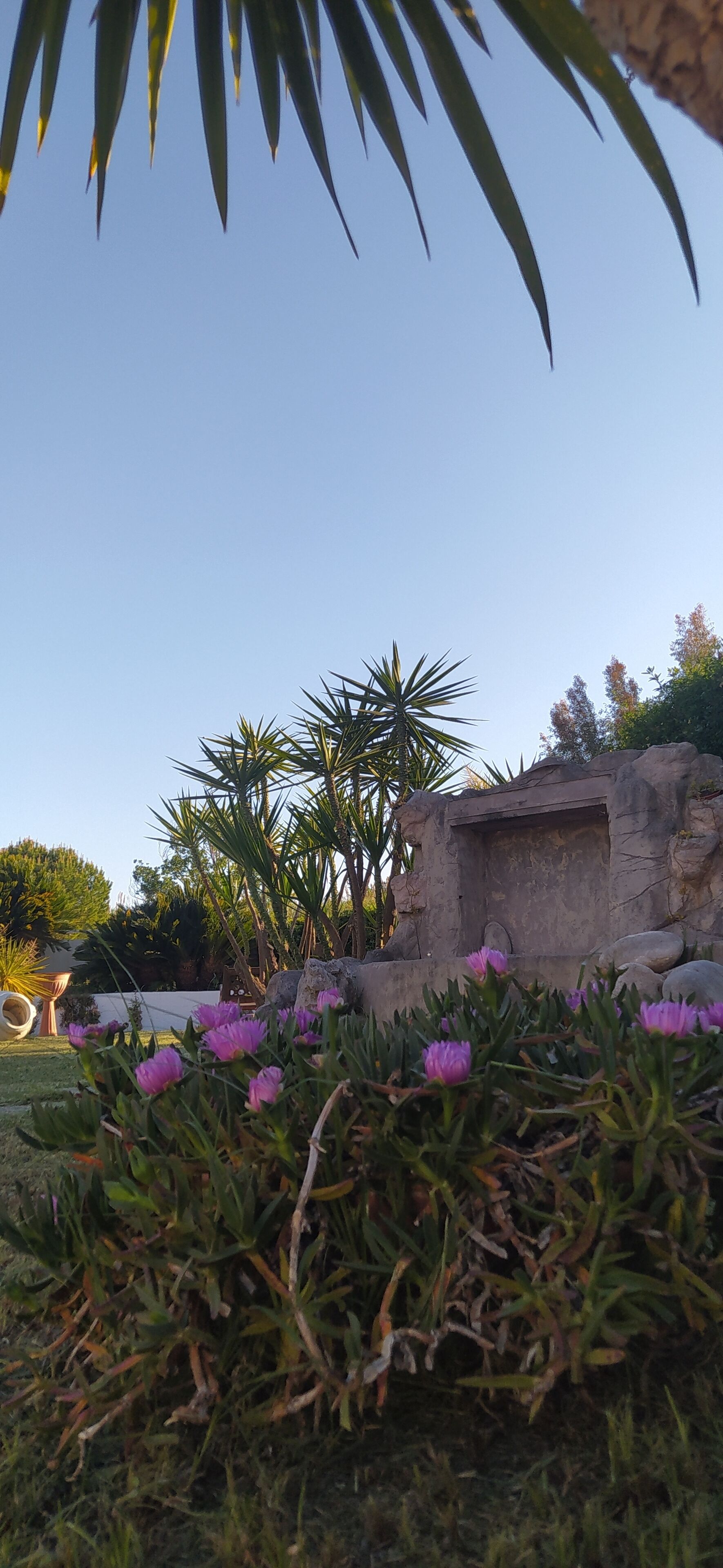 A garden with a variety of plants and flowers, a stone structure, and a clear blue sky.