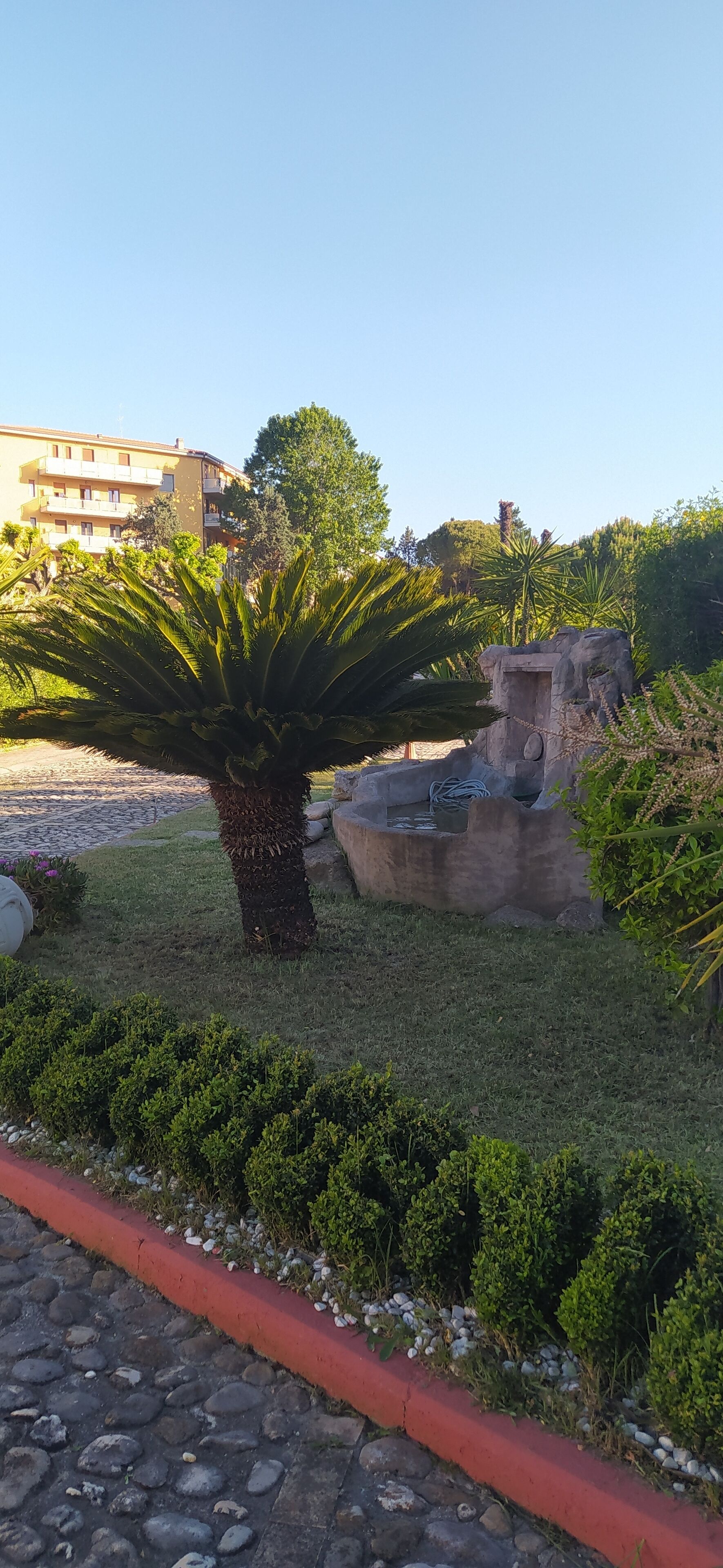 A garden with a palm tree, a rock structure, and a building in the background.
