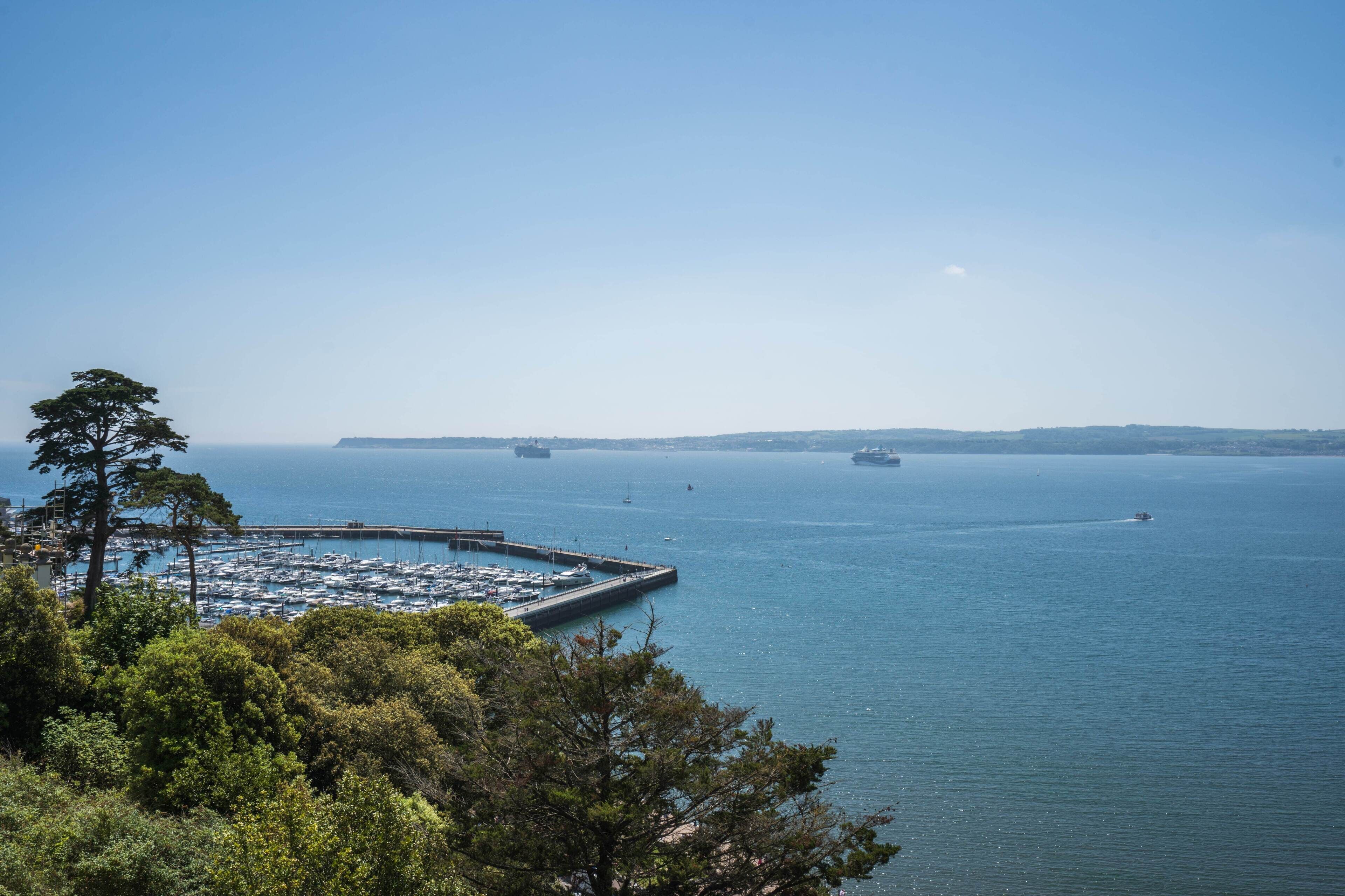 Puerto deportivo con barcos amarrados, rodeado de árboles y un cielo despejado.