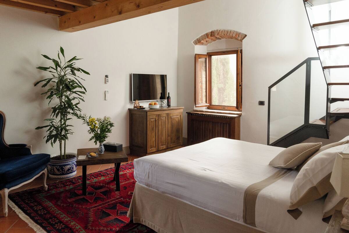 A bedroom with a bed, a TV, a wooden cabinet, a plant, and a red patterned rug.