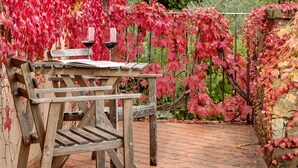 A wooden table with a metal railing, surrounded by red foliage. - Terre di Baccio (Greve in Chianti)