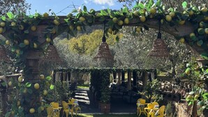 An outdoor seating area with yellow chairs and tables, surrounded by greenery and a brick archway. - Terre di Baccio (Greve in Chianti)