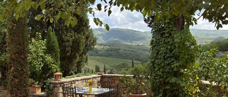 An outdoor patio with a round table and chairs, surrounded by greenery and overlooking a scenic landscape.
