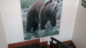 Una escalera con un mural de un oso en la pared.