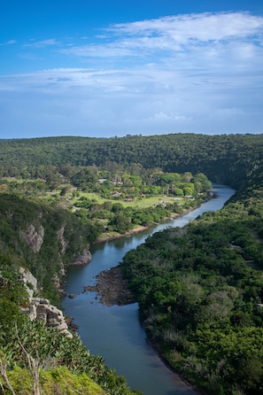 A river winding through a lush valley with dense greenery and a clear blue sky.