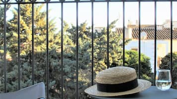 Superior Double Room | Terrace/patio