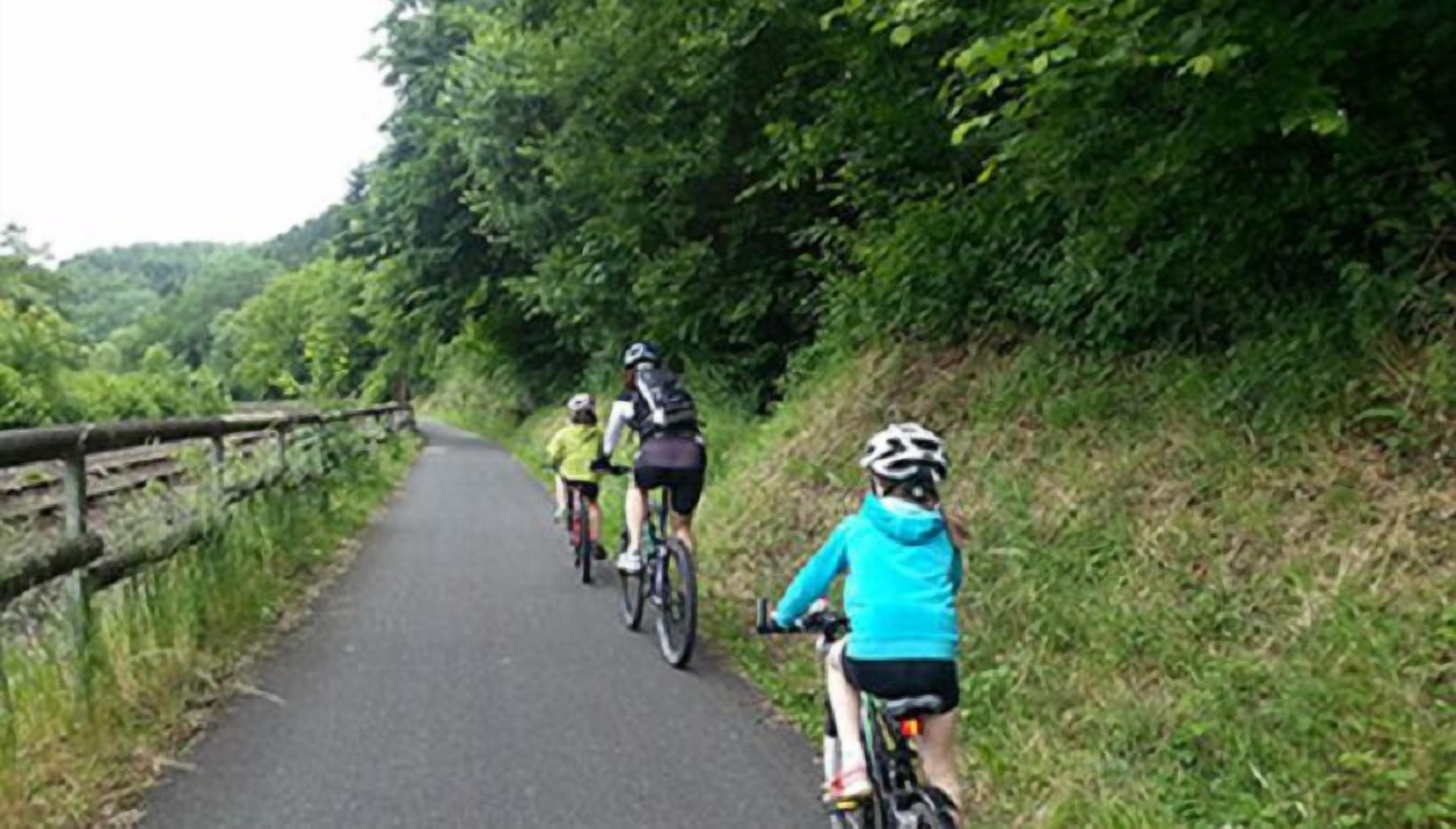 Foto - Hotel Haus Kylltal