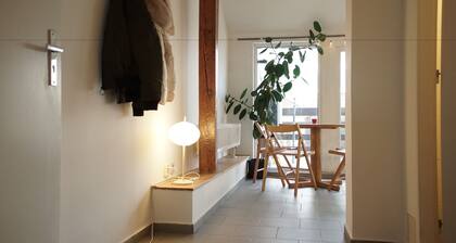 Attic Flat With Amazing Terrace