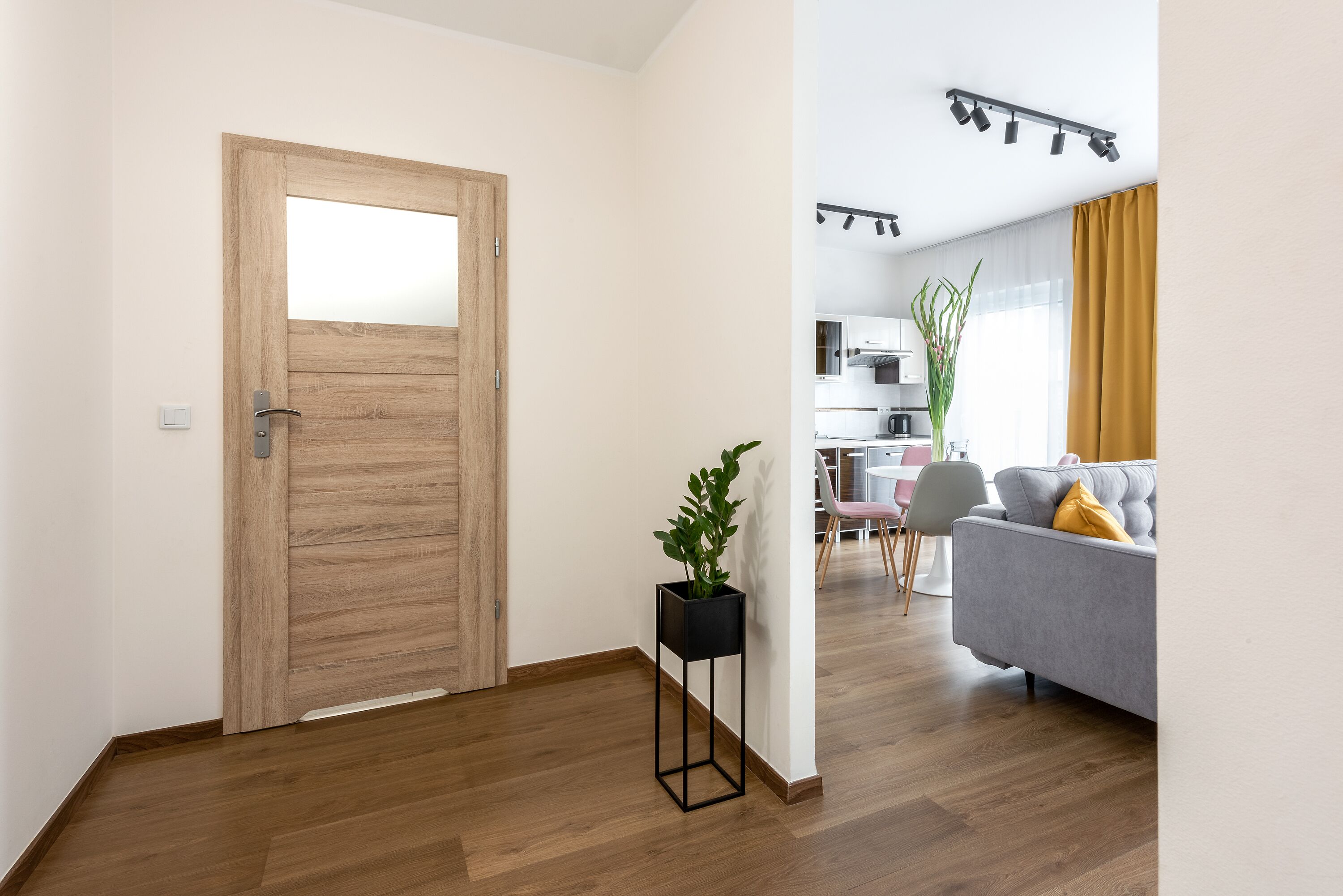 A modern living room with a grey sofa, a wooden door, and a potted plant.