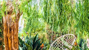 A hammock suspended between trees in a lush garden with a variety of tropical plants. - Yiannis Manos (Hersonissos)