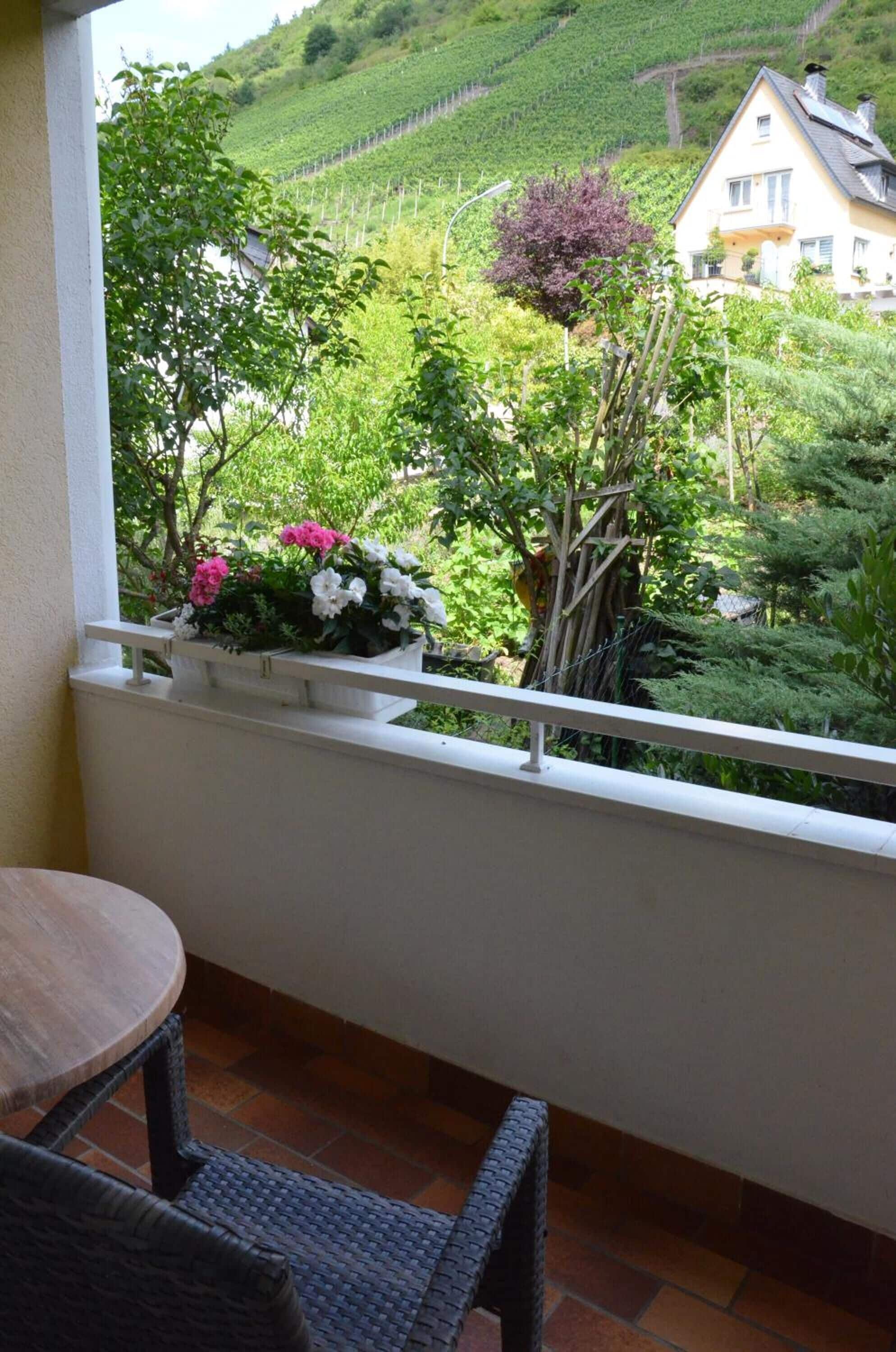 A balcony with a view of a vineyard and a house.