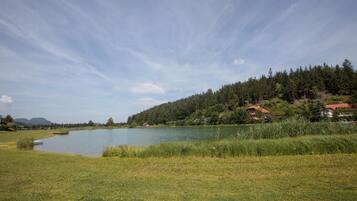 Un lago circondato da aree verdi e da una collina boscosa con delle case.