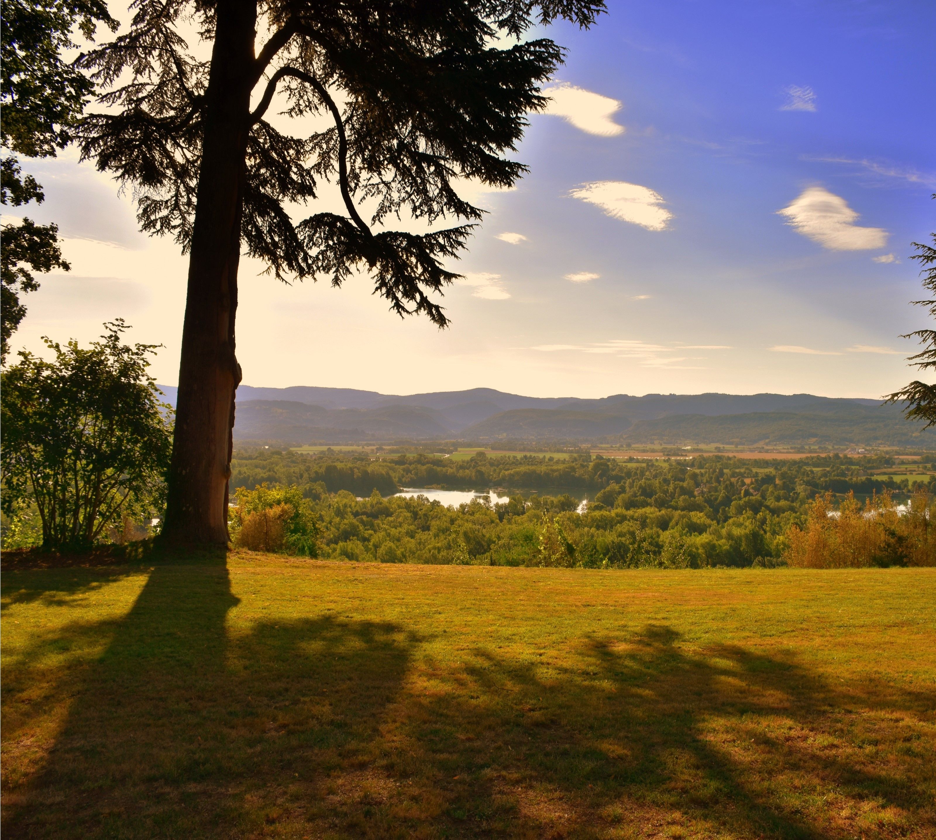 Vista panorámica con un gran árbol en primer plano, un lago y colinas a lo lejos.