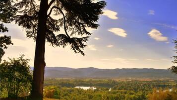 Vista panorámica con un gran árbol en primer plano, un lago y colinas a lo lejos.
