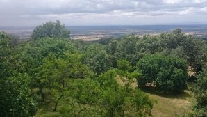 A lush green landscape with dense foliage and a distant view of a flat terrain under a cloudy sky. - Hostal los Castañuelos (Candeleda)
