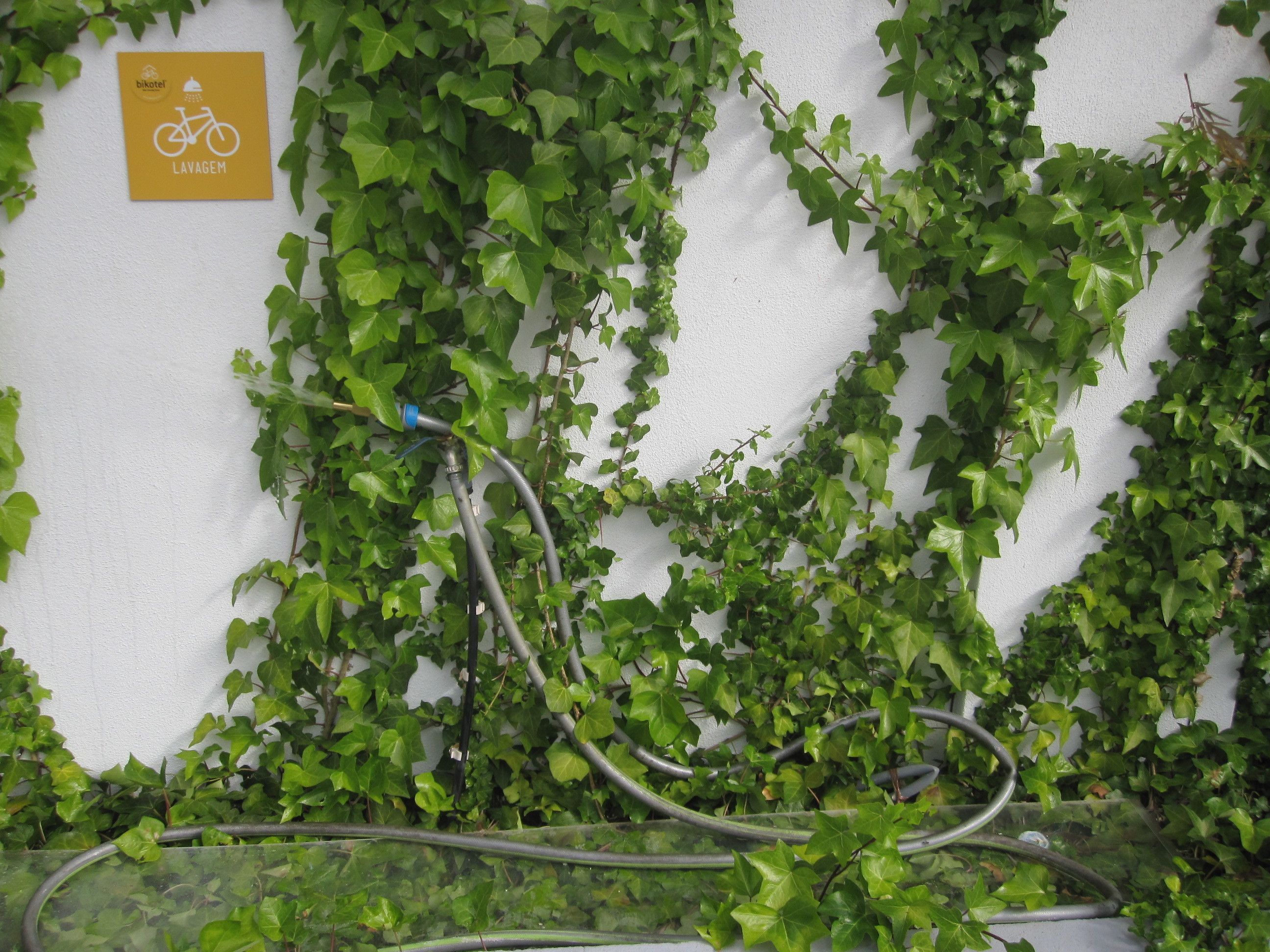 Photo - N1 Hostel Apartments and Suites