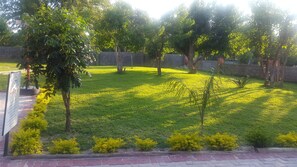 Jardin