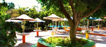 Piedras De Sol Solaris