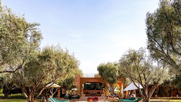 Une piscine entourée d’arbres, avec des chaises longues et des parasols, ainsi qu’un espace de repos abrité.