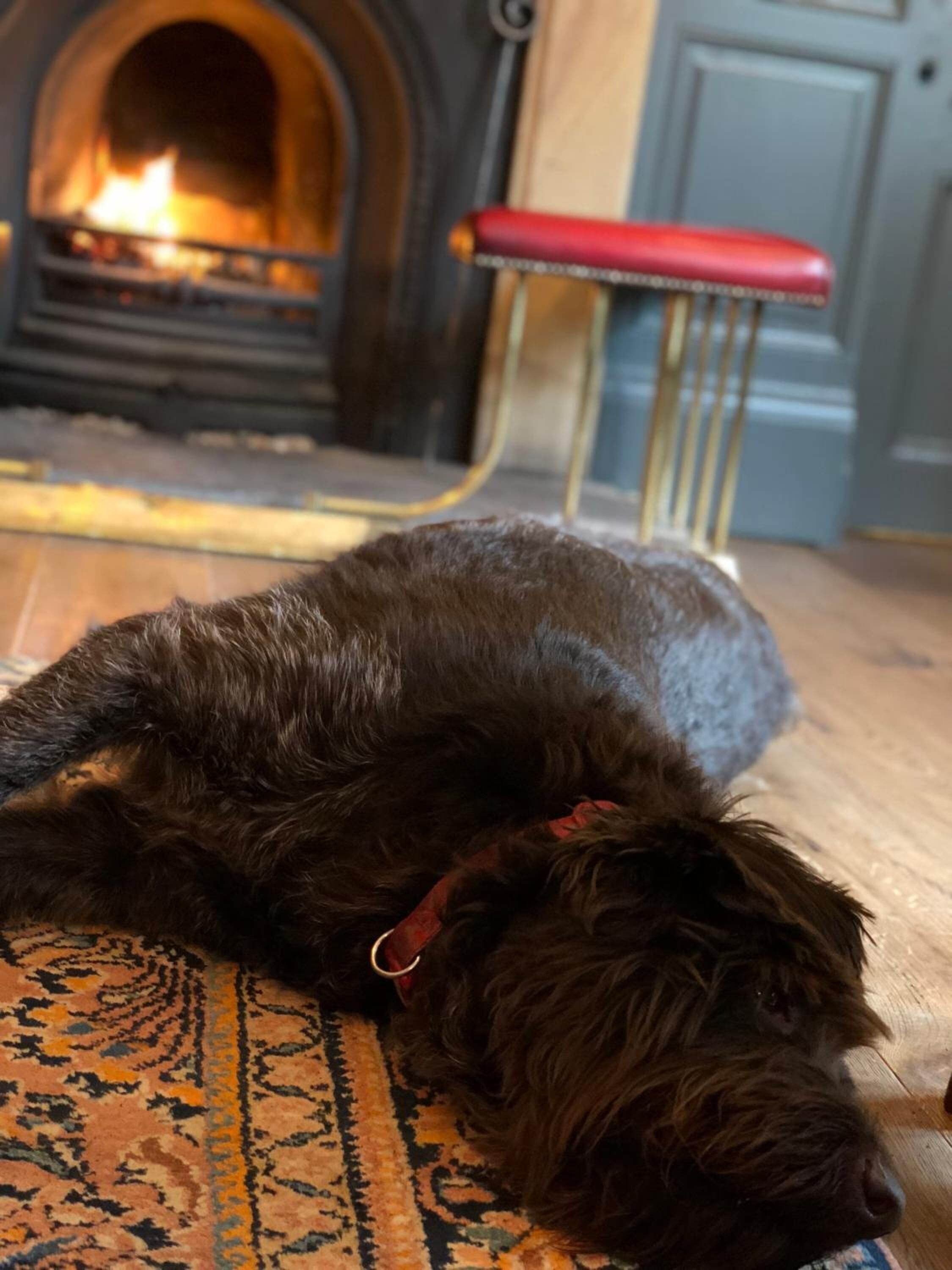 A dog lying on a patterned rug in a room with a fireplace and a red bench.