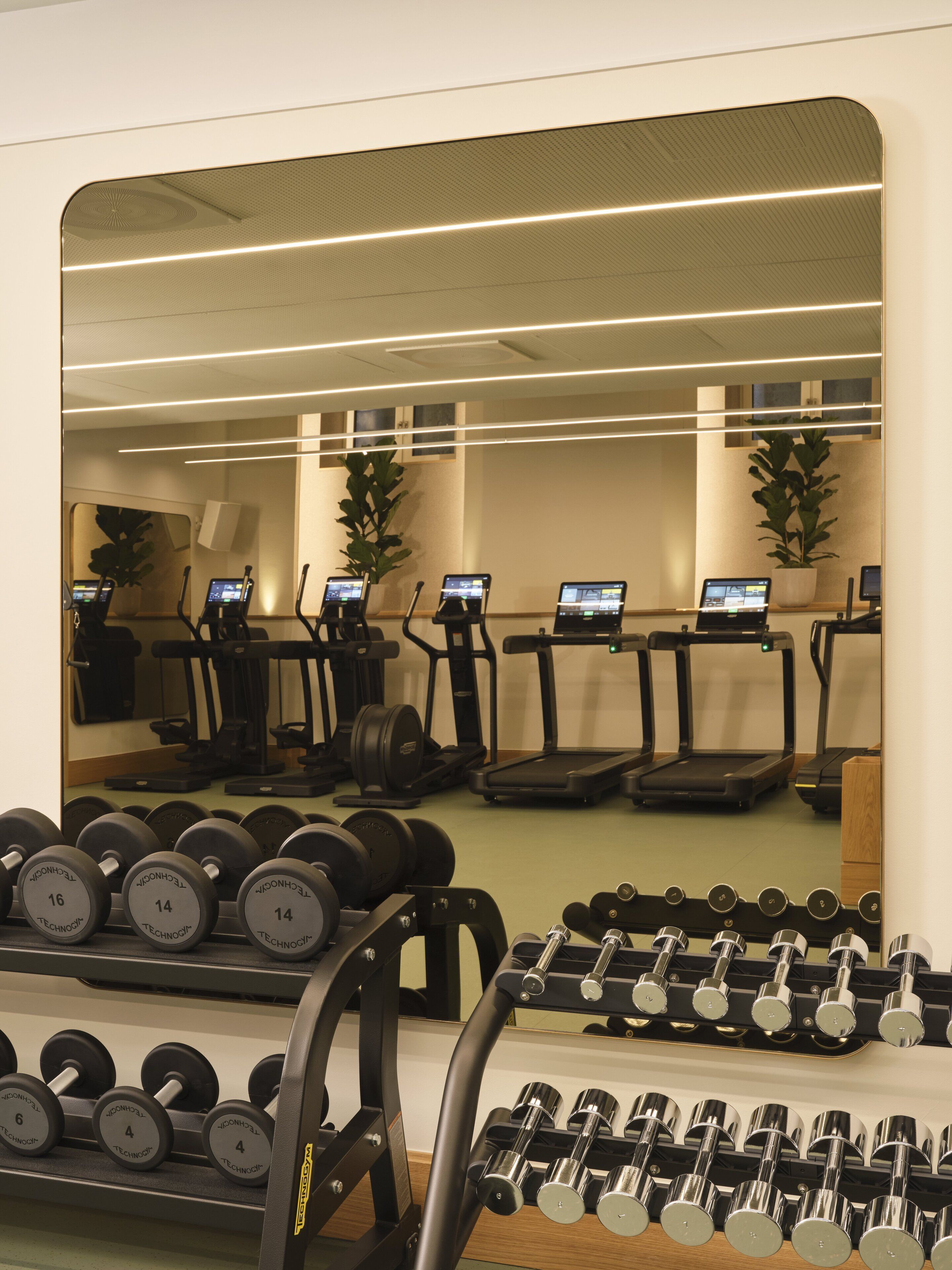 A gym with exercise equipment, including treadmills and dumbbells.