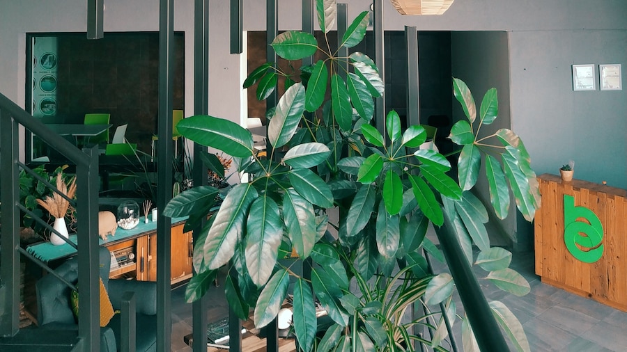 Hotel Brisas Express