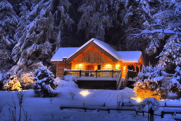 Casa de árbol familiar | Ropa de cama de alta calidad, minibar, escritorio y insonorización