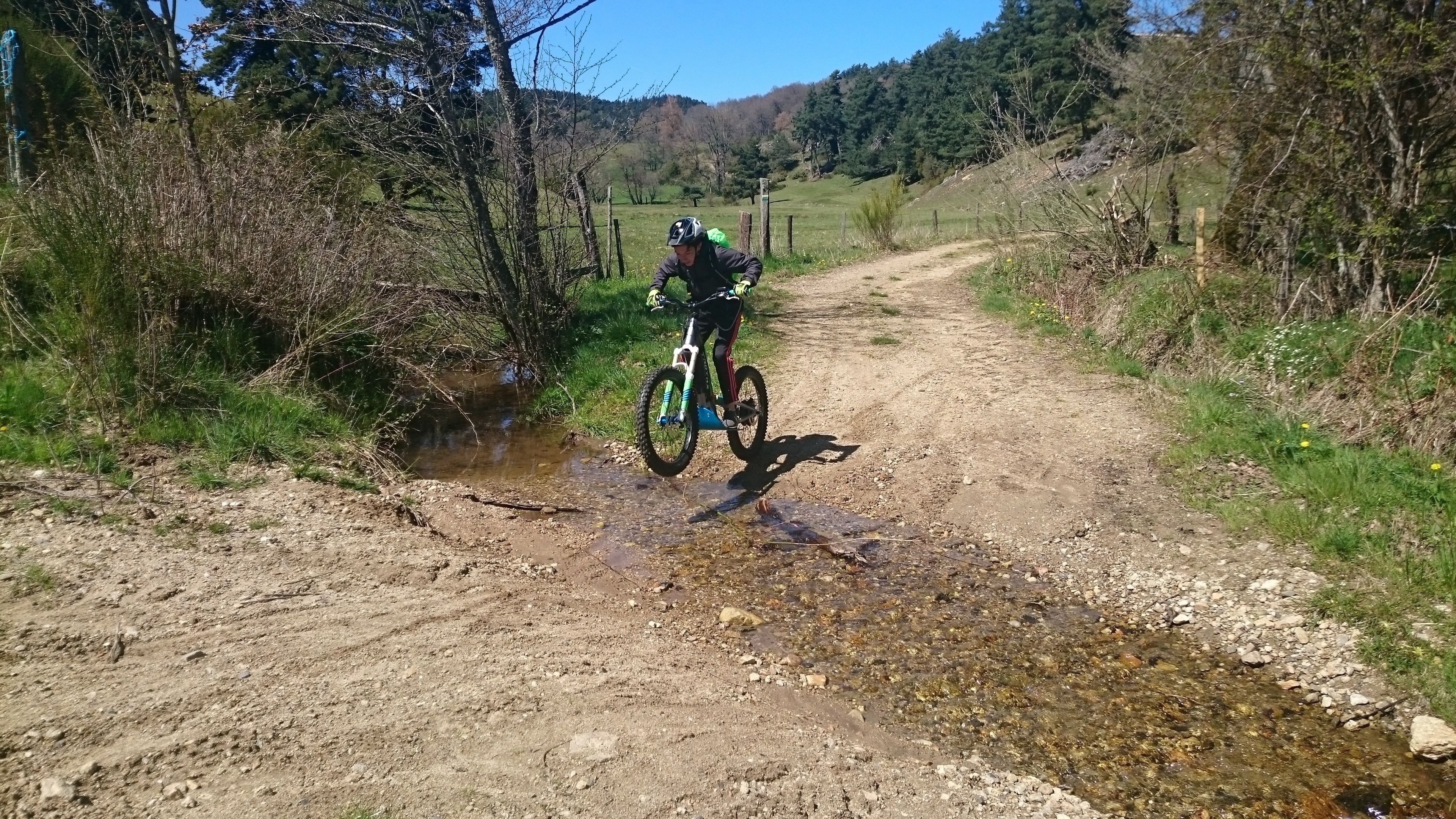 A dirt path with a stream crossing, surrounded by trees and vegetation.